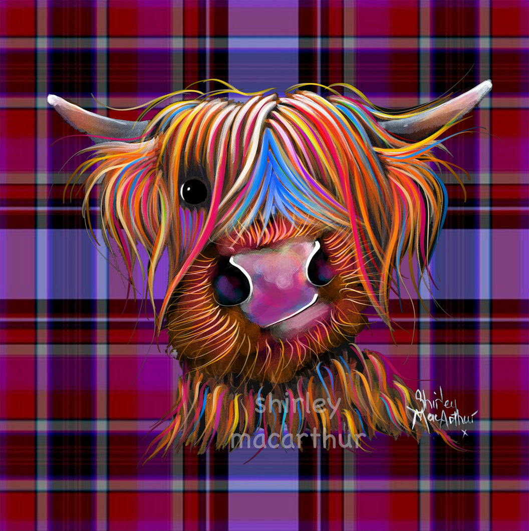 ‘BRuCe’ oN TaRTaN P - FRoM £7.99