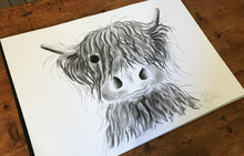 CHaRCoaL ORiGiNaLS! HiGHLaND CoW PaiNTiNGS - No 6