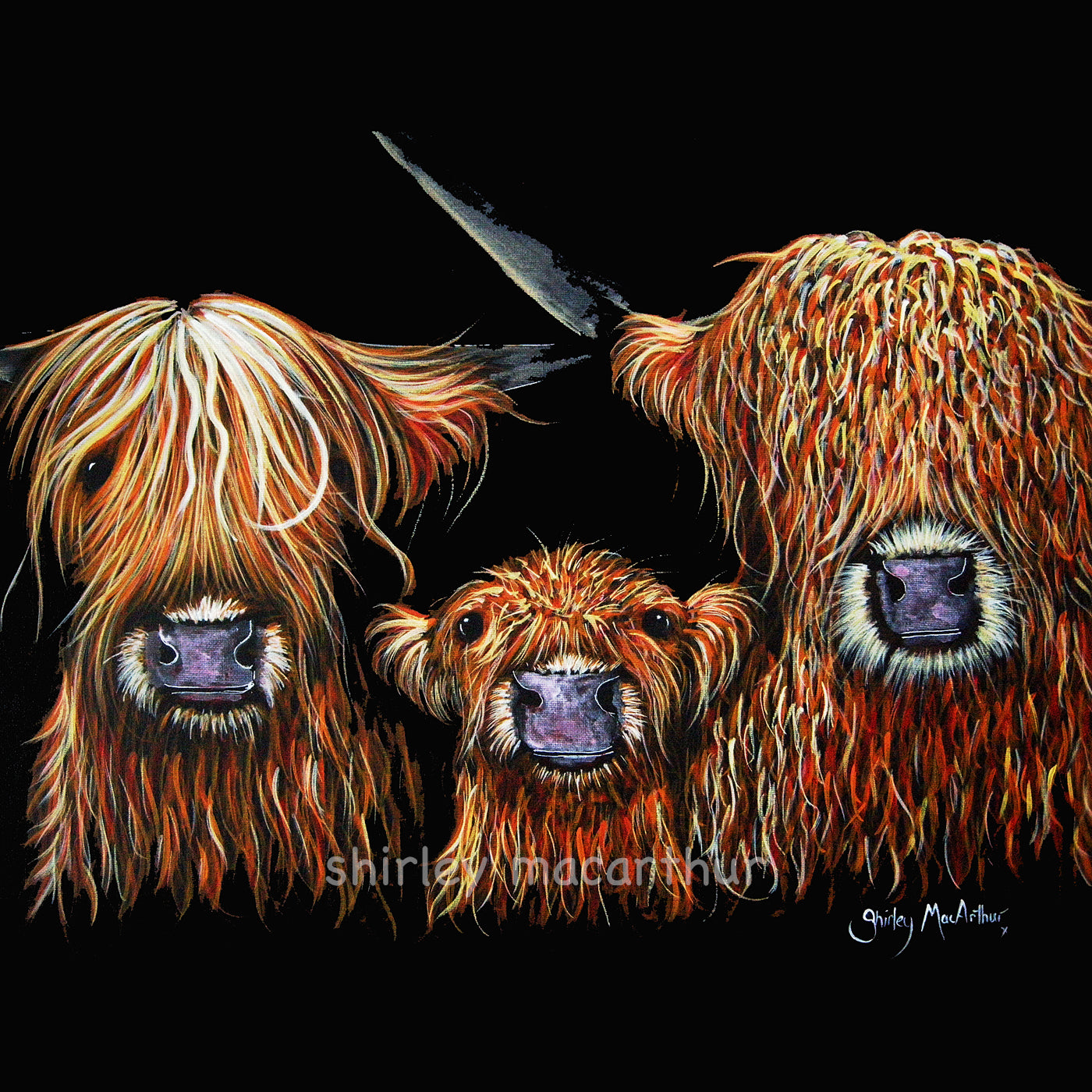 Highland Cow Prints ‘We 3 COOS oN BLaCK’ By SHiRLeY MacARThuR
