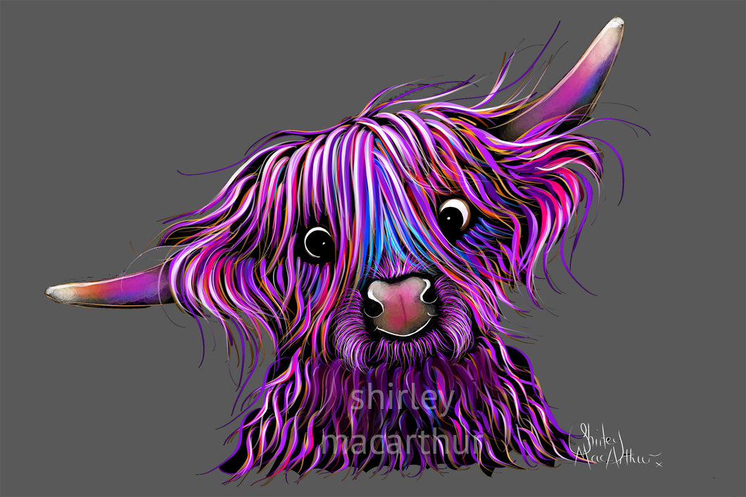 ‘HuCKLeBeRRY oN GReY '  FRoM £8.99