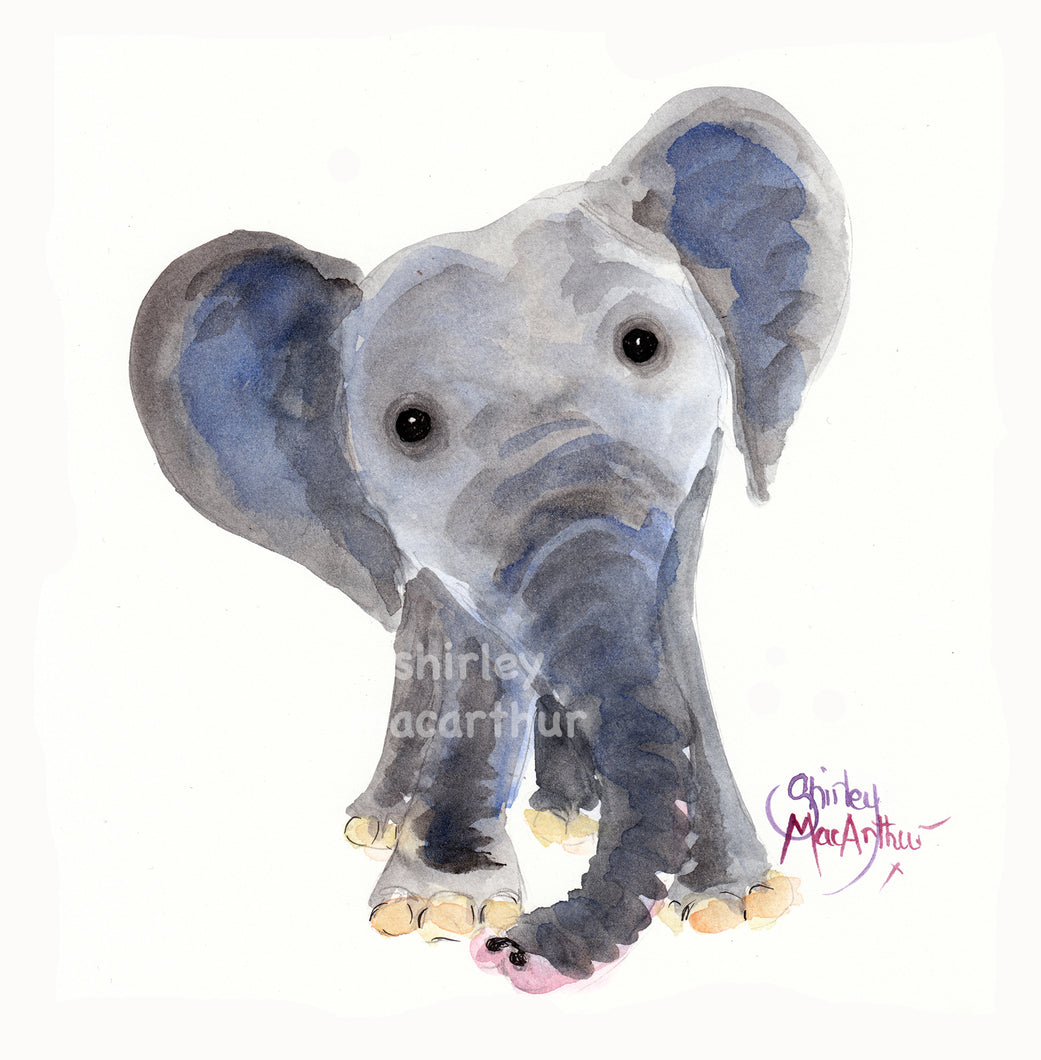 NoSeY NeLSoN - ELePHaNT PRiNT