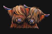 Highland Cow Prints 'Pals' by Shirley MacArthur