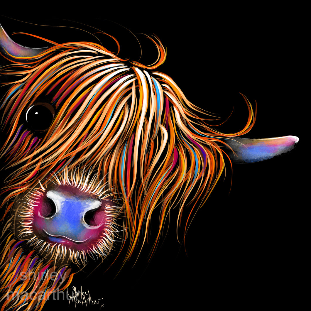 Highland Cow Prints 'Sugar Lump' By Shirley MacArthur