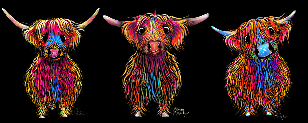 ' TeaM SCoTLaND '  HiGHLaND CoW PRiNT, WaLL ART - BY SHiRLeY MacARTHuR