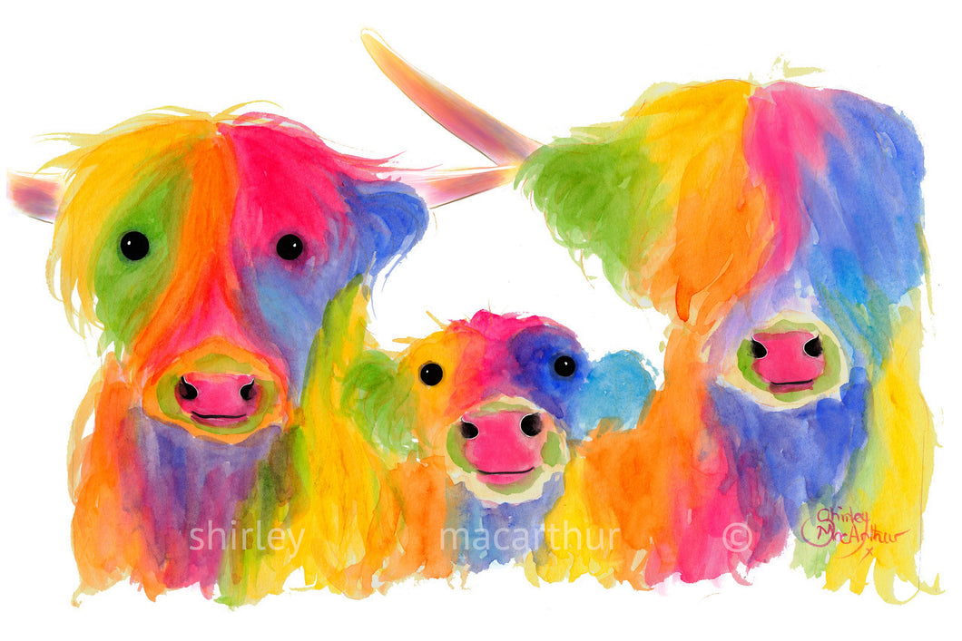 We 3 CooS iN CoLouR - FRoM £7.99